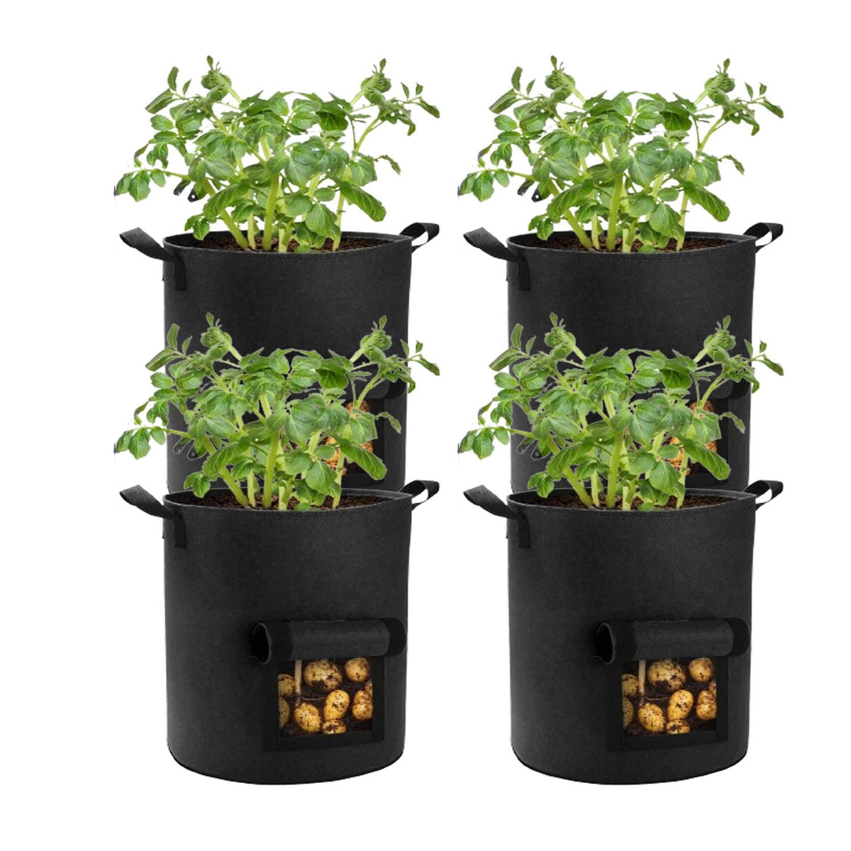 Lyincat 4-pack 10-gallon grow bags with flap design for easy harvest.