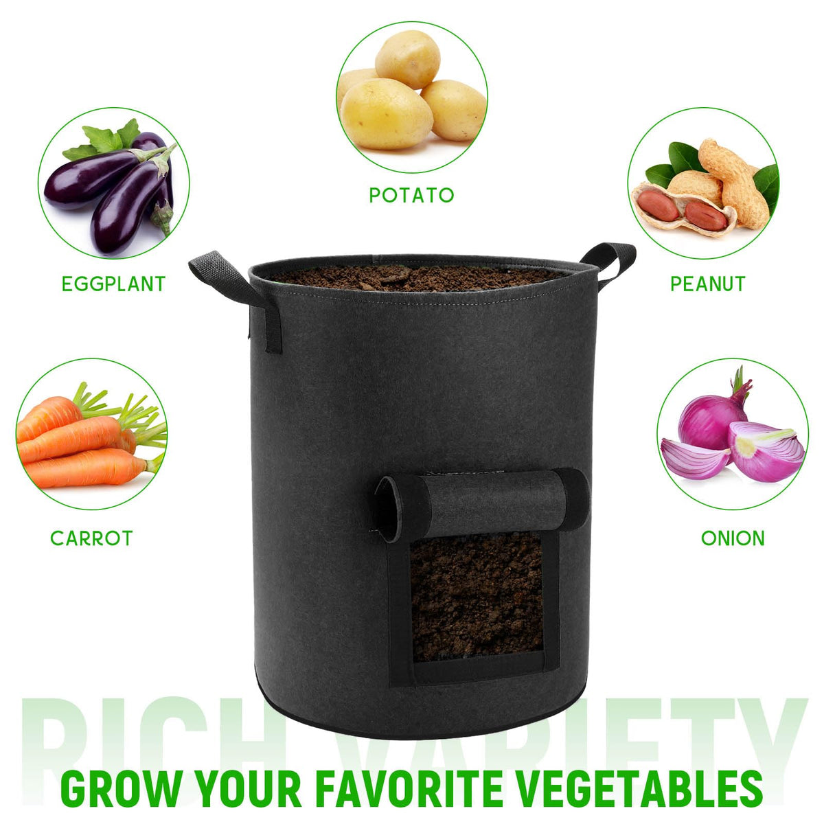 Lyincat 10-gallon bag in use for carrot planting.