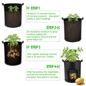 Lyincat set of four bags arranged in outdoor garden.