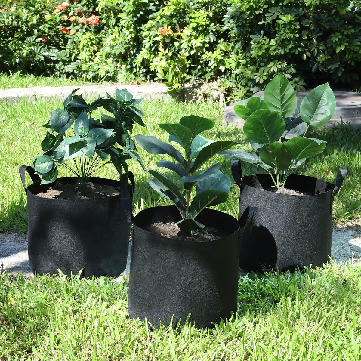 Lyincat easy-clean grow bags suitable for long-term use across seasons