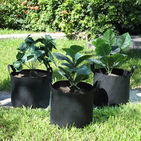 Lyincat easy-clean grow bags suitable for long-term use across seasons
