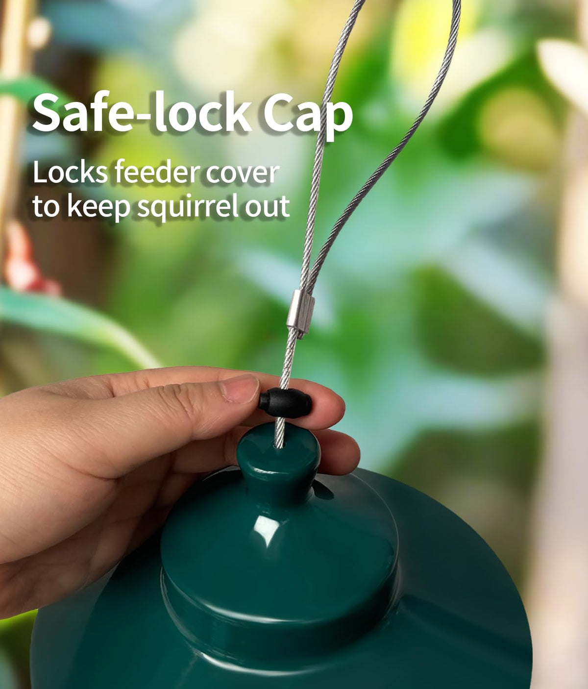 LYKENTOR attracts cardinals, chickadees, and finches for a lively backyard feeder scene.