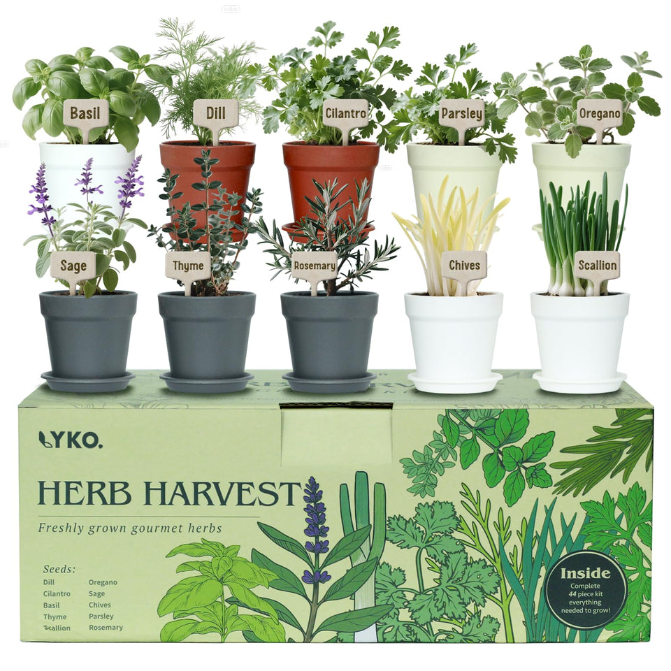 LYKOCLEAN 10-herb-seeds-collection for year-round cooking herbs.