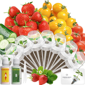 LYKOCLEAN fruits seed pod kit for AeroGarden setup, easy indoor gardening.