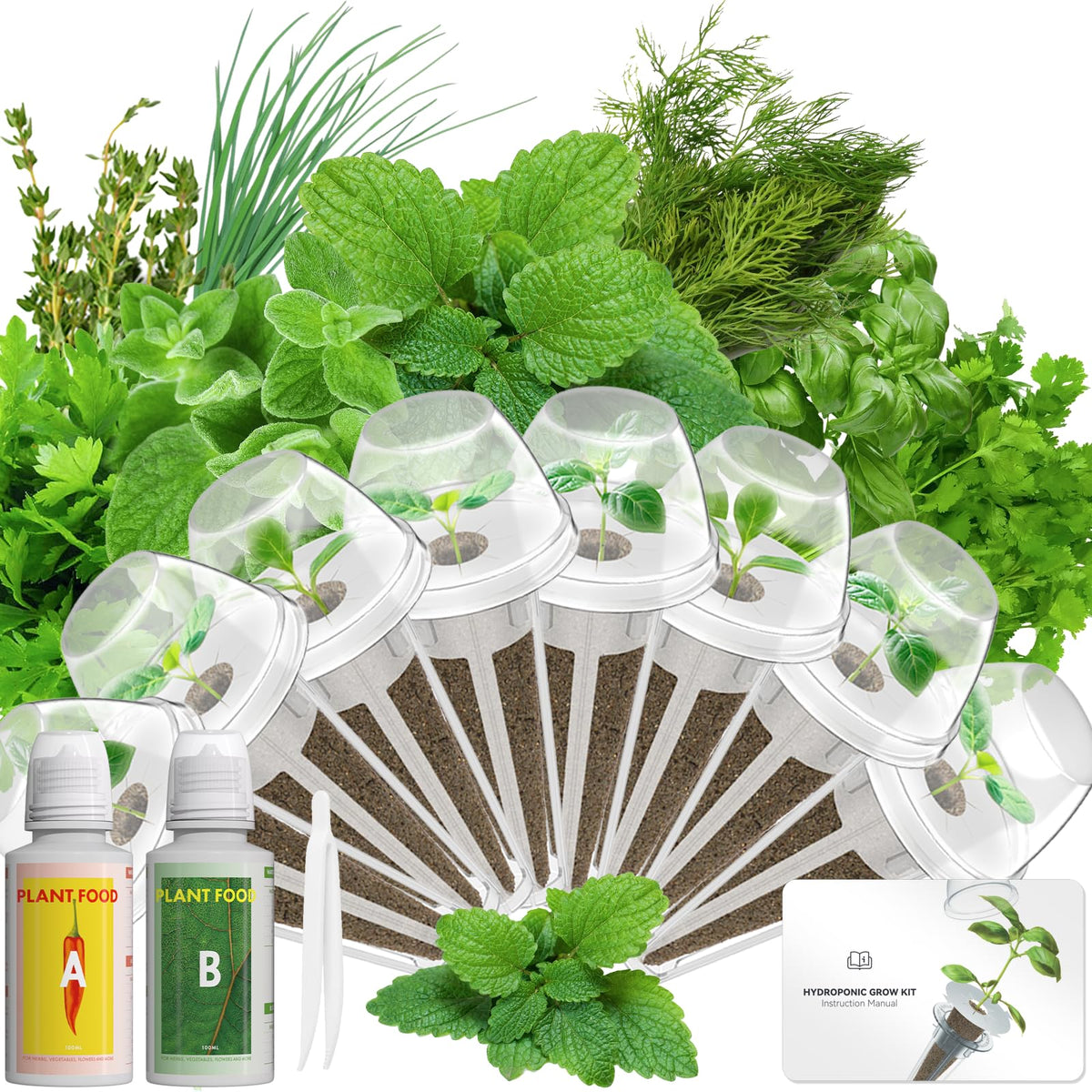 LYKOCLEAN gourmet herb seed pod kit with 8 varieties for hydroponics.