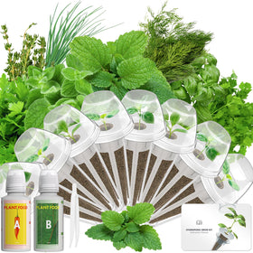 LYKOCLEAN gourmet herb seed pod kit with 8 varieties for hydroponics.