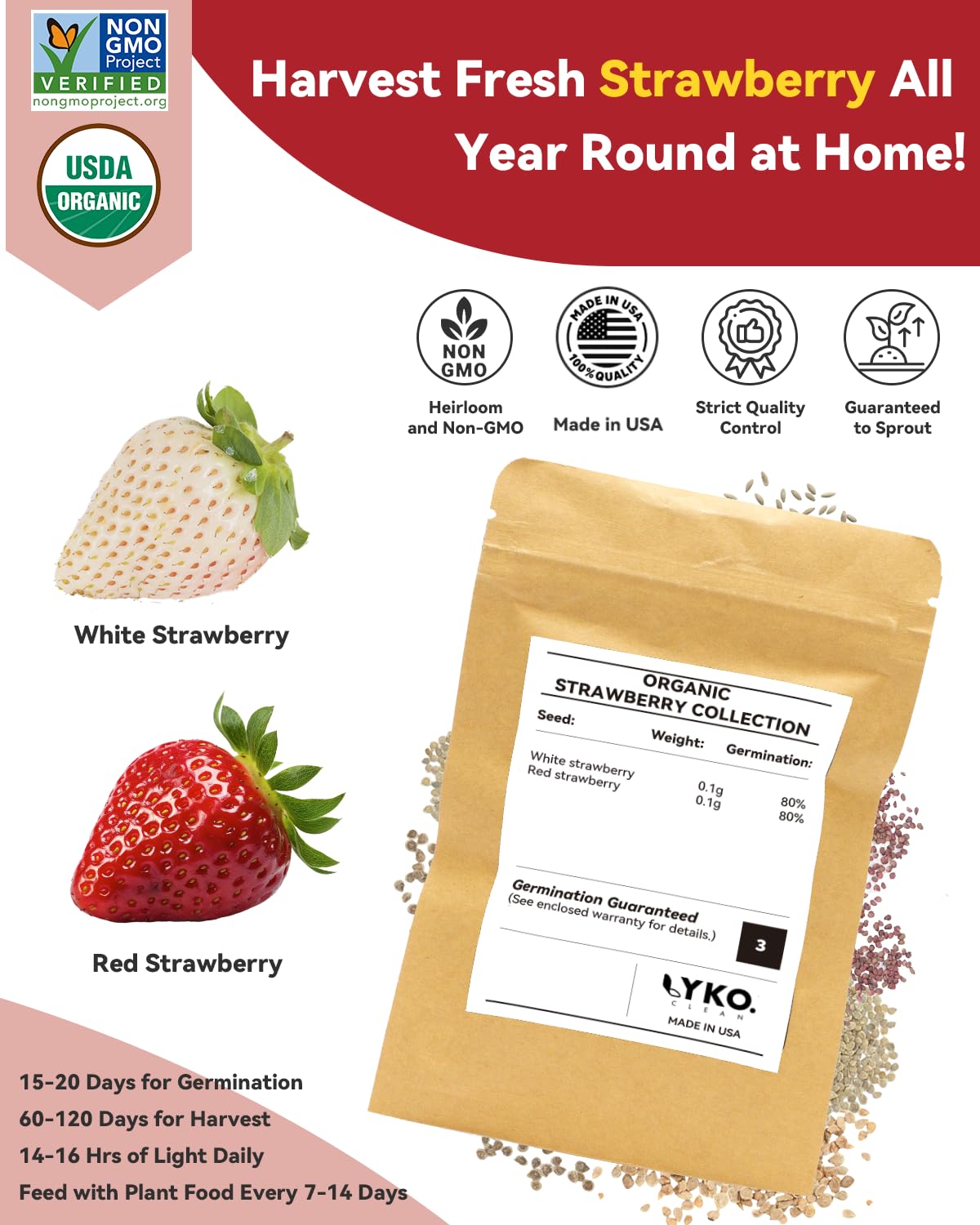 LYKOCLEAN grow sponges with bio peat support robust root development and steady moisture.