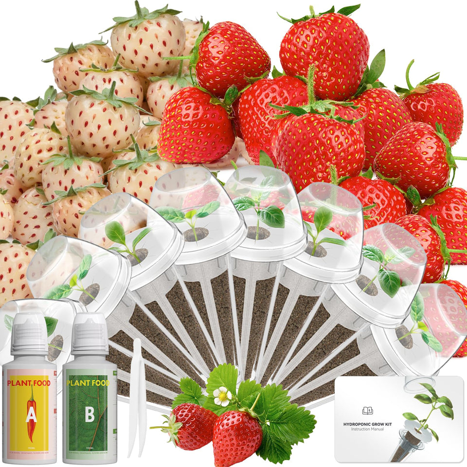 LYKOCLEAN hydroponic seed pod kit showing AeroGarden compatibility for easy indoor growing.