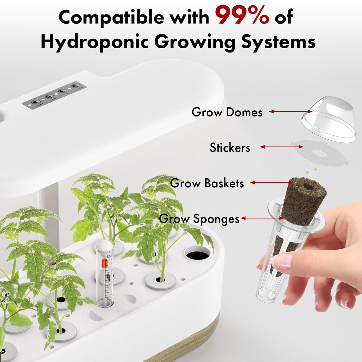 LYKOCLEAN organic non-GMO seed pack for safe, home-grown produce.