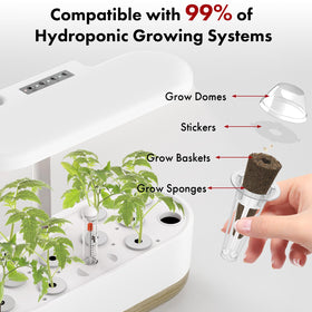 LYKOCLEAN organic non-GMO seed pack for safe, home-grown produce.