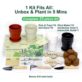 LYKOCLEAN soil-discs-expansion expands to a nutrient-rich starter medium.
