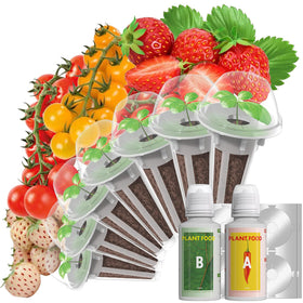 LYKOCLEAN strawberry seed pods – red strawberry variety for AeroGarden, ready to cultivate flavorful fruit.