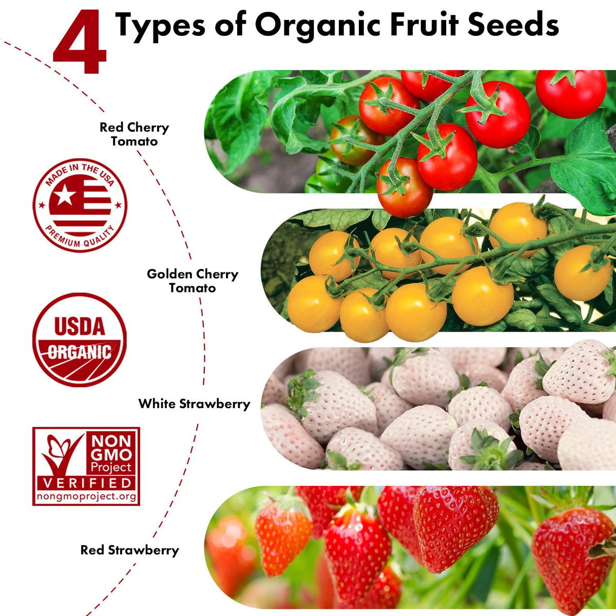 LYKOCLEAN strawberry seed pods – white strawberry variety for home hydroponics, crisp sweetness ahead.