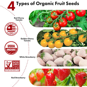 LYKOCLEAN strawberry seed pods – white strawberry variety for home hydroponics, crisp sweetness ahead.