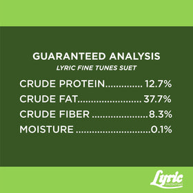 Lyric beef suet with peanut and nut pieces provides birds a hearty meal.