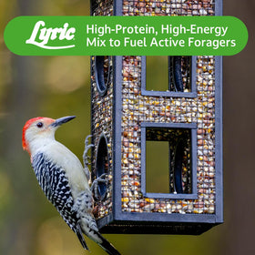 Lyric berry-fruit-nut blend shown at a backyard feeder