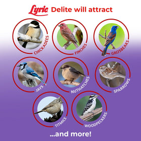 Lyric Delite attracts cardinals, chickadees, and finches at backyard feeders.