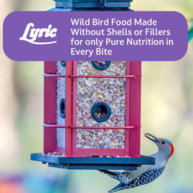 Lyric Delite colorful birds enjoying the mix highlights natural outdoor joy.