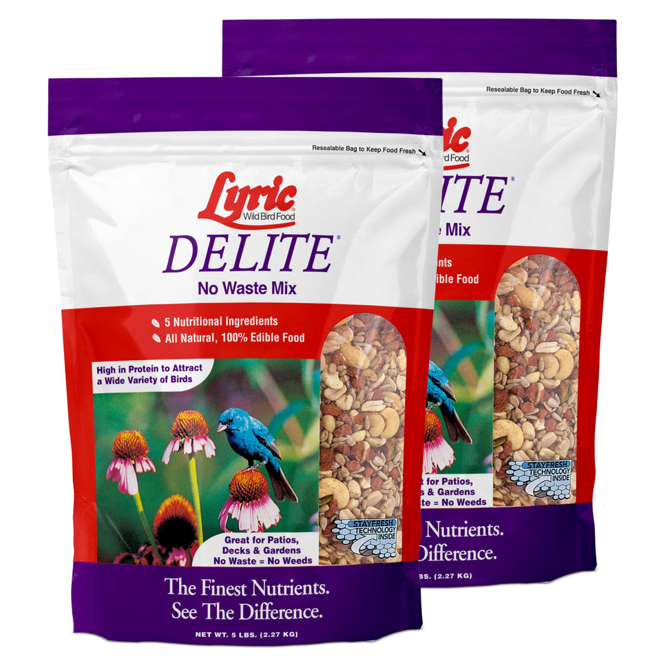 Lyric Delite wild bird seed in outdoor feeders delivers fresh, waste-free nutrition.