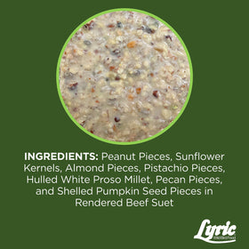 Lyric Fine Tunes attracts warblers, woodpeckers, nuthatches, wrens to your feeder.