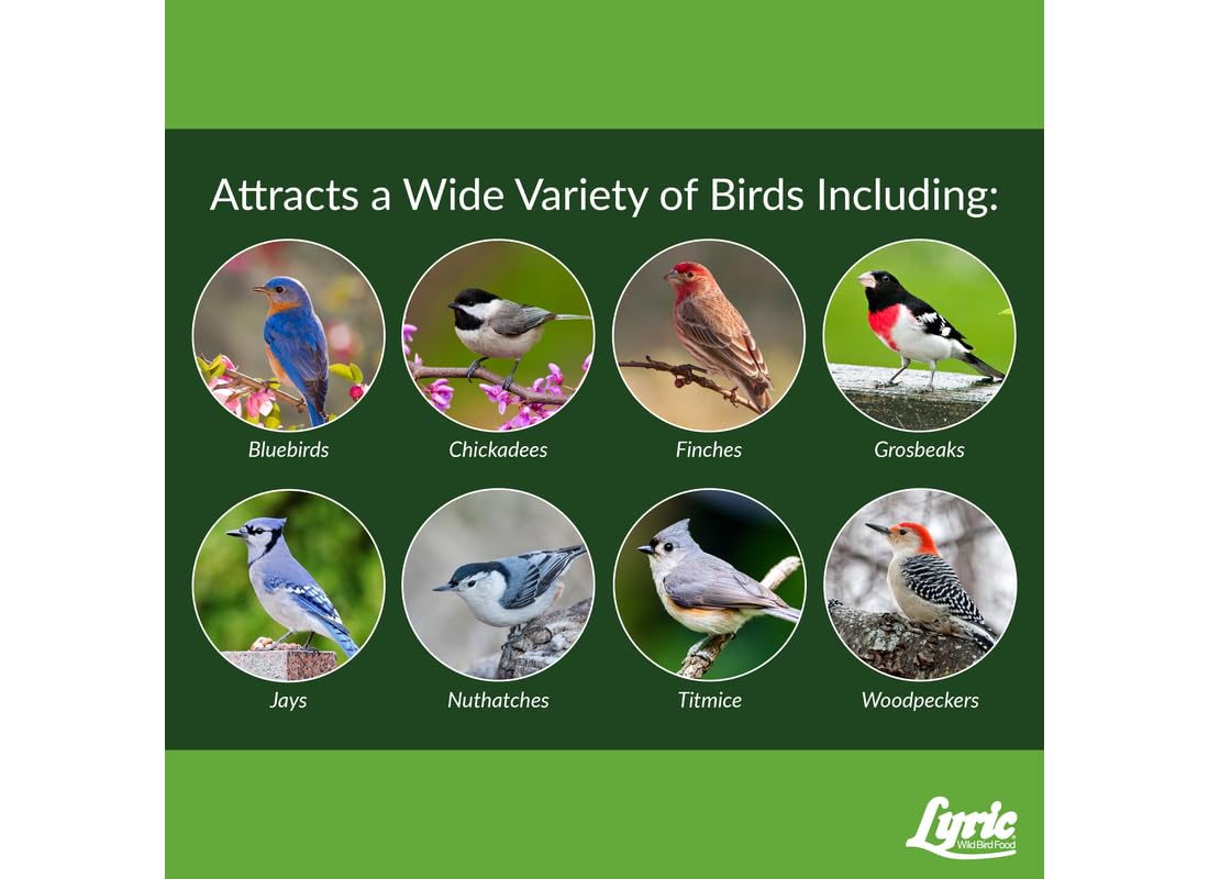 Lyric compatible with tube and hopper bird feeders displayed