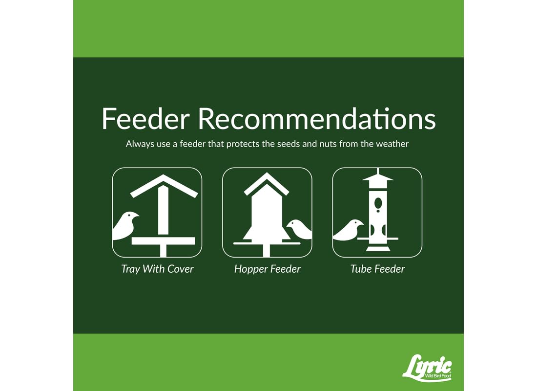 Lyric multi-species birds feeding on the mix at feeder