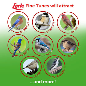 Lyric Fine Tunes attracting bluebirds, cardinals, and chickadees in a backyard scene.