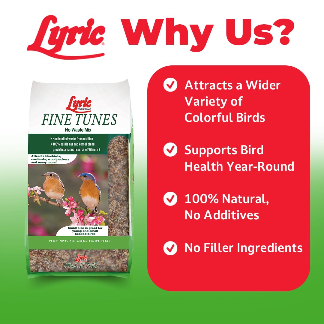 Lyric Fine Tunes nut-and-seed blend close-up with varied pieces for small-beak birds.