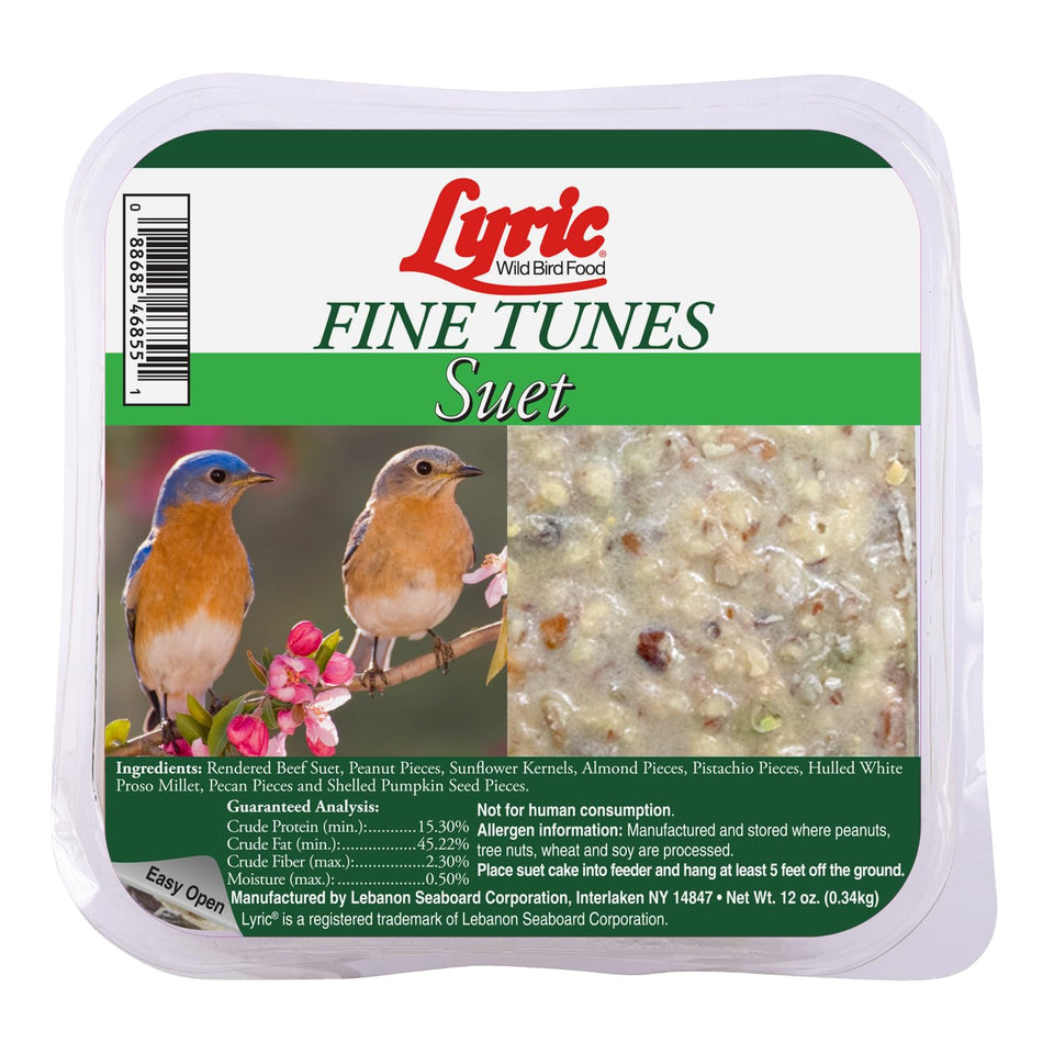 Lyric Fine Tunes suet cake in feeder attracts bluebirds and chickadees for energy.
