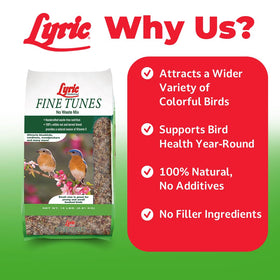 Lyric Fine Tunes ingredients close-up with premium nuts and seeds for small-beaked birds.