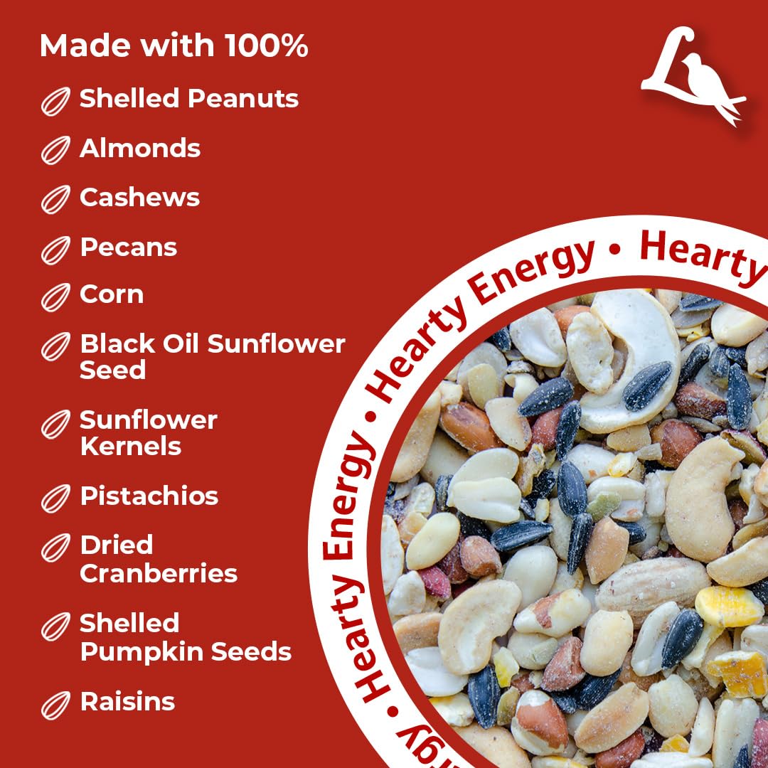 Lyric Fruit and Nut Wild Bird Seed attracts cardinals and chickadees at the feeder.