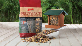 Lyric seed in a hopper feeder attracting woodpeckers and songbirds.
