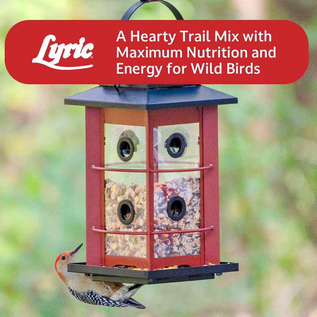 Lyric Fruit and Nut Wild Bird Seed 2x5 lb pack provides long-lasting bird feeding.