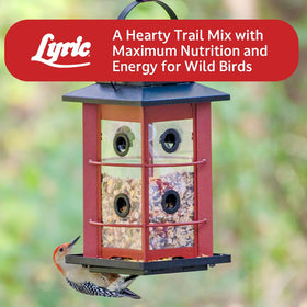 Lyric Fruit and Nut Wild Bird Seed 2x5 lb pack provides long-lasting bird feeding.