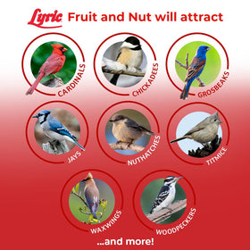 Lyric Fruit and Nut Wild Bird Seed is versatile for hopper, tray, tube, and mesh feeders.