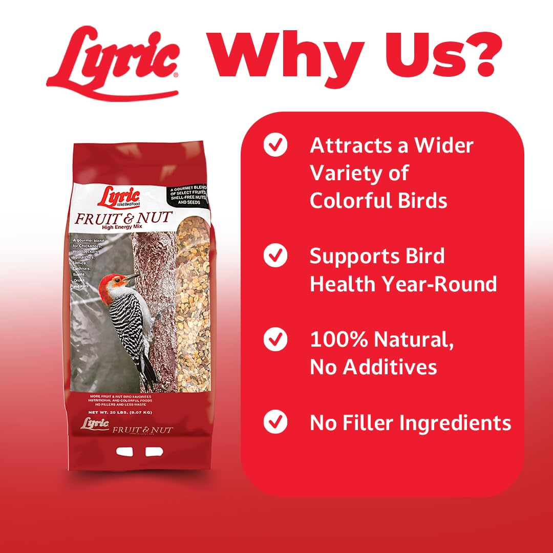 Lyric mix with dried fruits and nuts fuels busy backyard birds near the feeder.