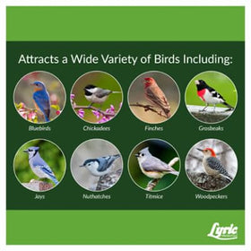 Lyric bluebirds and finches visiting a feeder using Fine Tunes mix