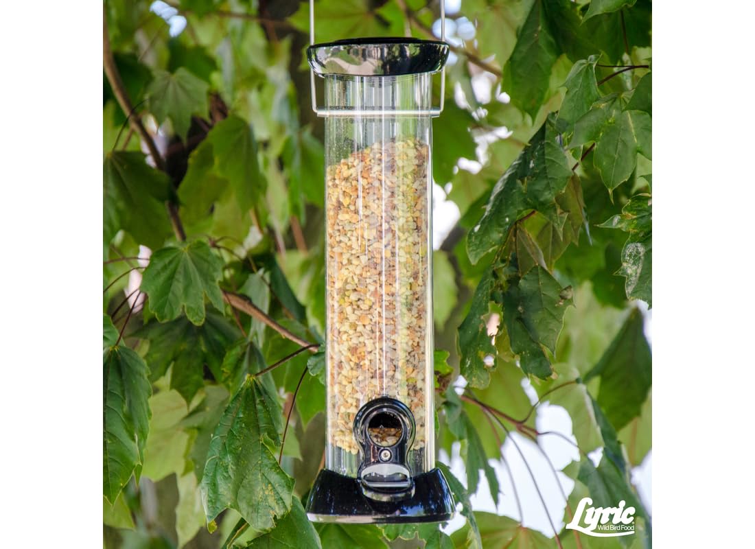 Lyric no-waste seed blend in an outdoor feeder tray