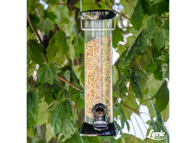 Lyric no-waste seed blend in an outdoor feeder tray