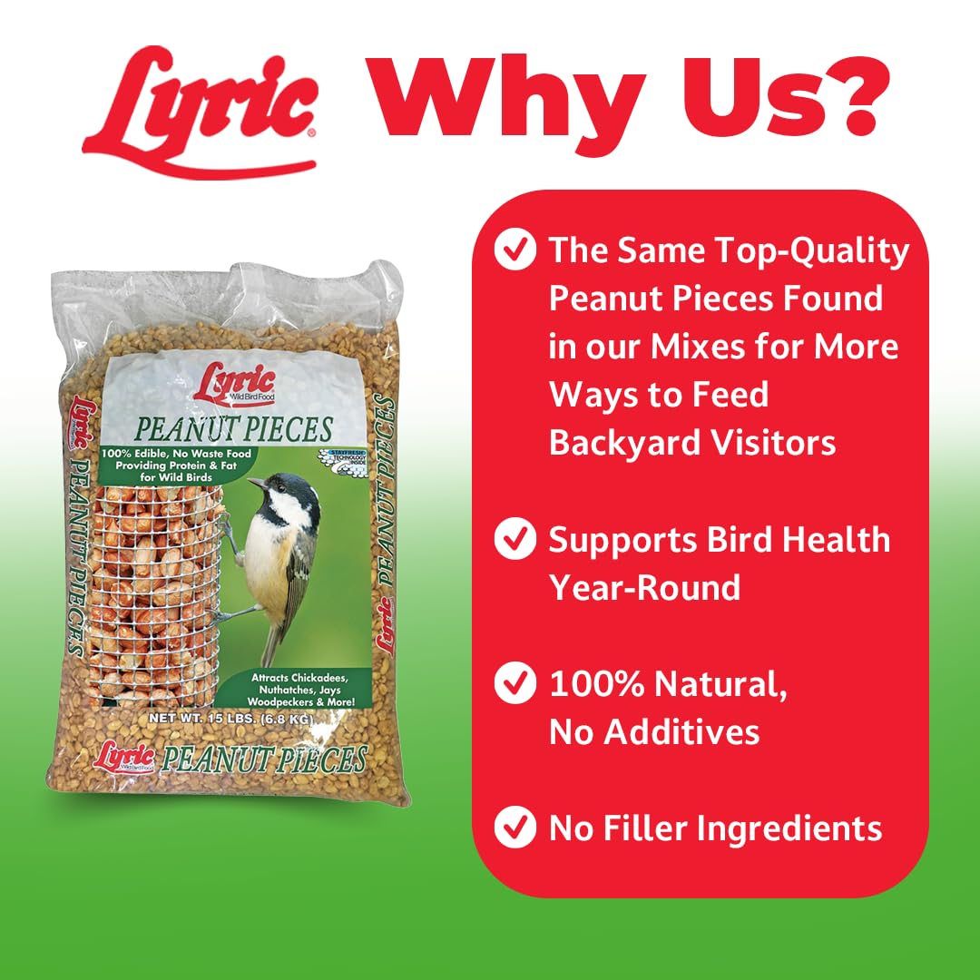 Lyric Peanut Pieces in feeder illustrating year-round high-protein bird food for visitors