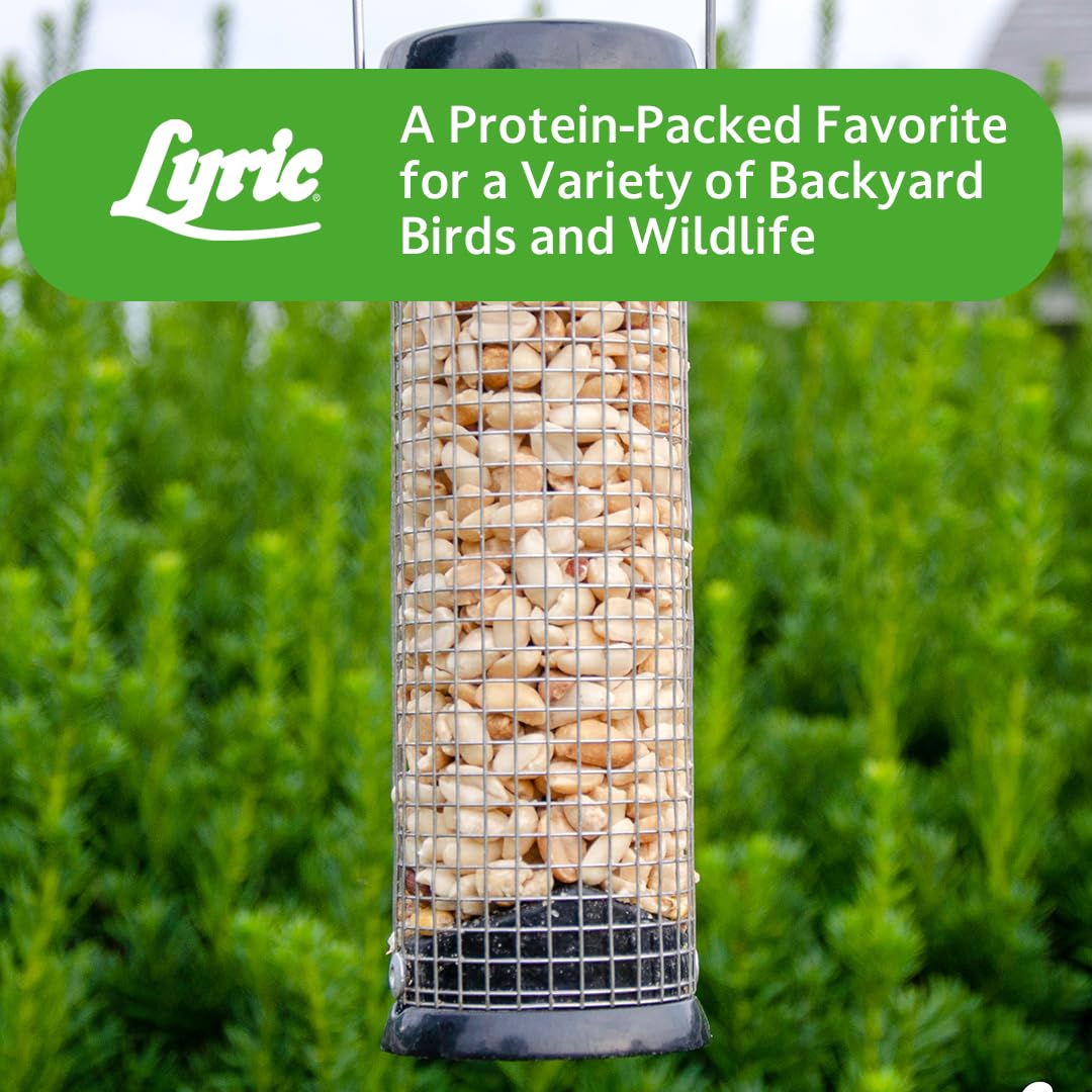 Lyric Peanut Pieces packaging emphasizing freshness technology
