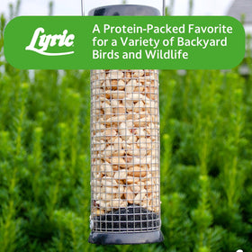 Lyric Peanut Pieces packaging emphasizing freshness technology