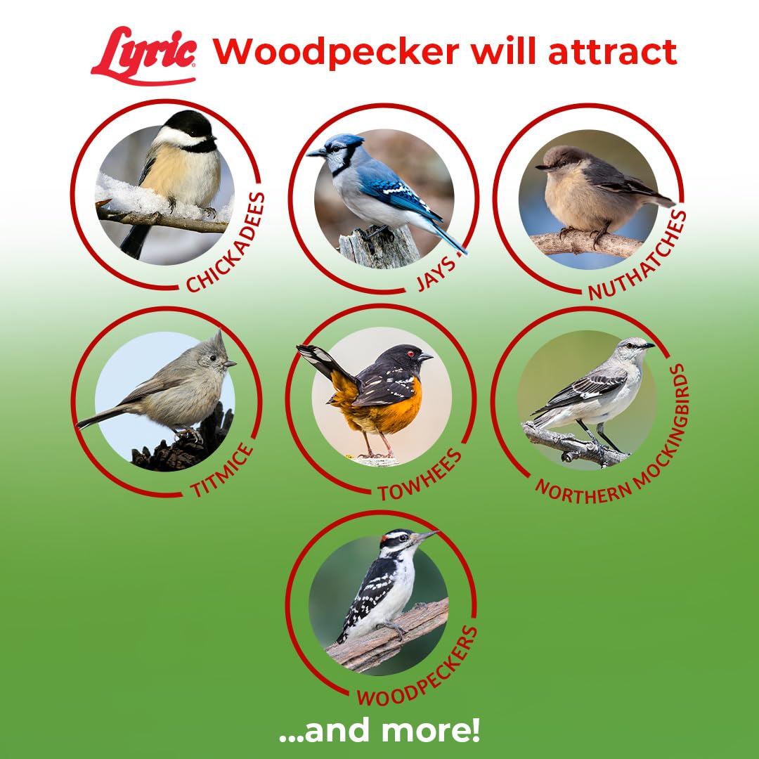 Lyric pistachios and pumpkin seeds provide textures for birds