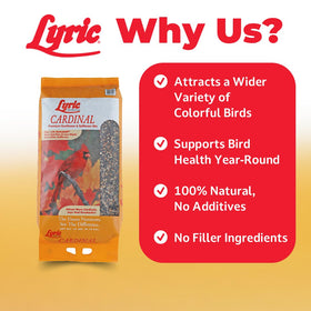 Lyric safflower seed bird feeder high-protein option for birds with strong bills