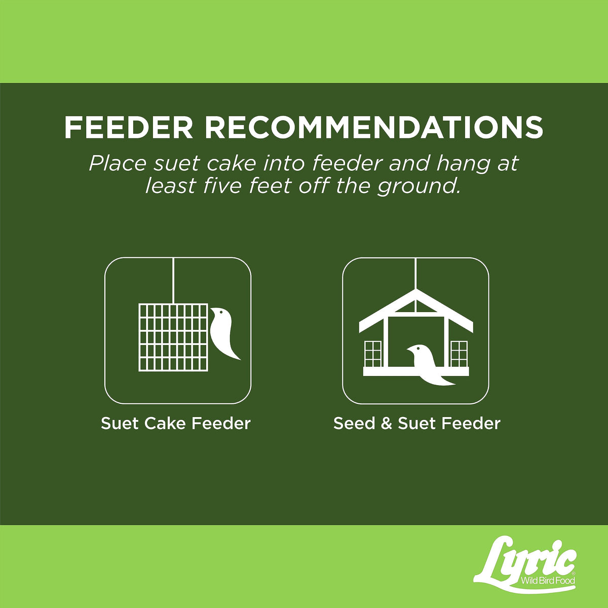 Lyric suet and seed blend includes sunflower kernels and pistachios.