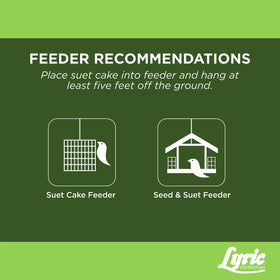 Lyric suet and seed blend includes sunflower kernels and pistachios.