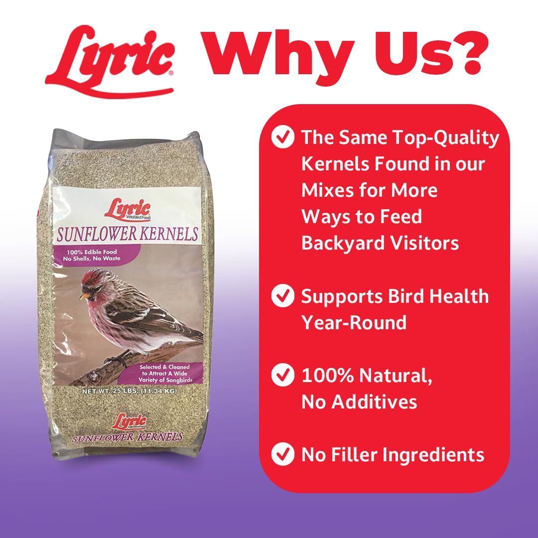 Lyric Sunflower Kernels no-waste formula keeps feeding area clean