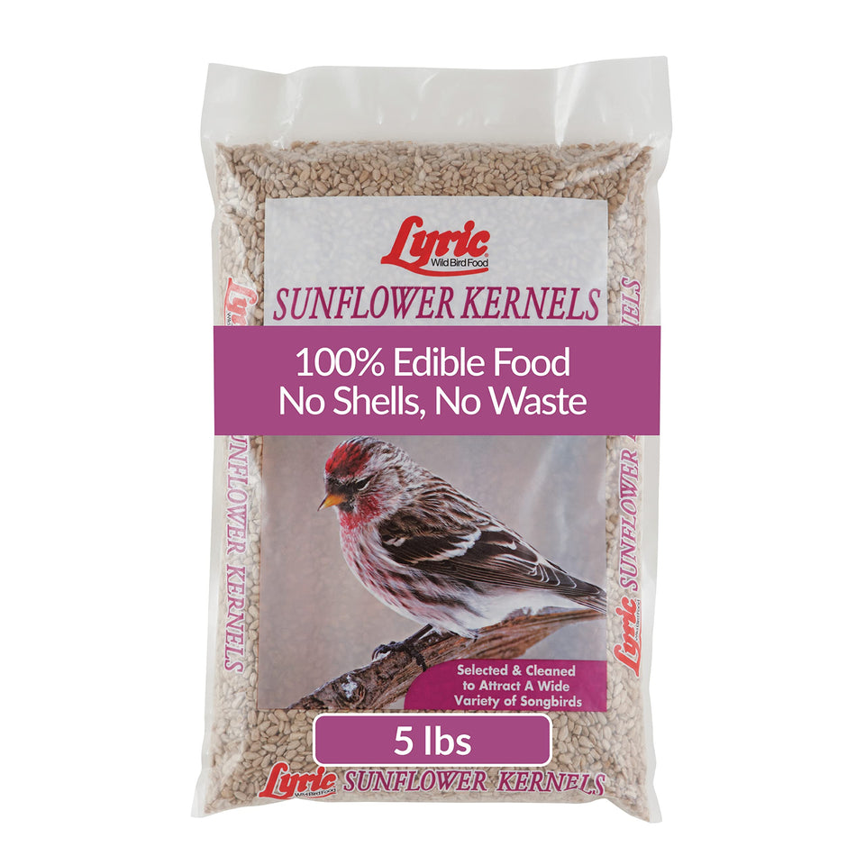 Lyric Sunflower Kernels in outdoor feeder attracting songbirds