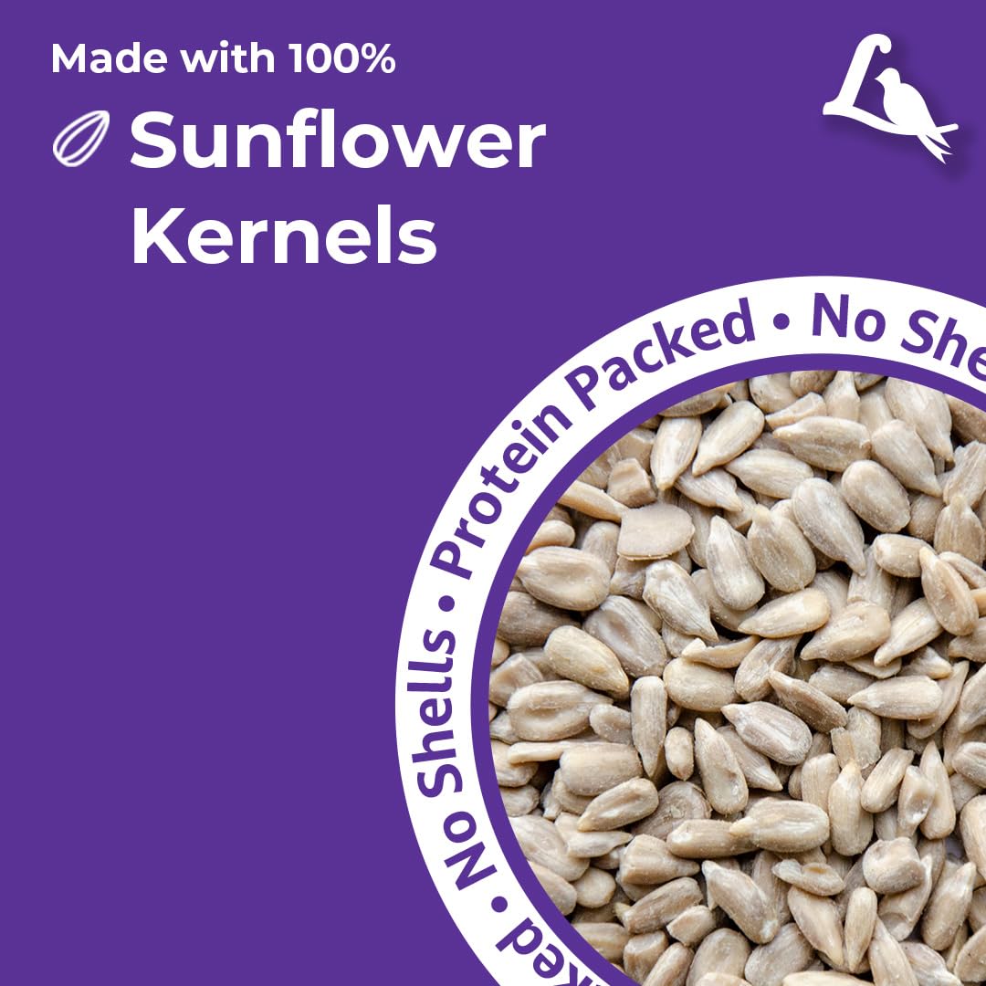 Lyric Sunflower Kernels whole and split kernels entice finches