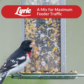 Lyric Supreme backyard-birds view highlights year-round feeding appeal